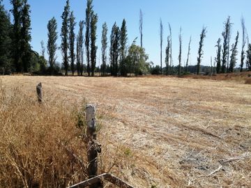 VENDE HERMOSAS PARCELAS, 5.000 M2, PLANAS, SECTOR ABRANTES, CAMINO CHACALLURA, PAINE, REGION METROPOLITANA