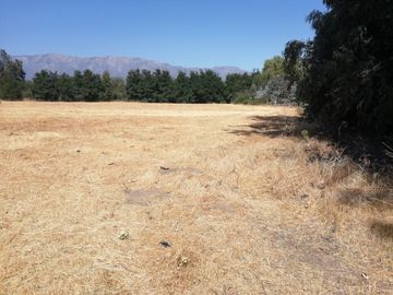 VENDE HERMOSAS PARCELAS, 5.000 M2, PLANAS, SECTOR ABRANTES, CAMINO CHACALLURA, PAINE, REGION METROPOLITANA