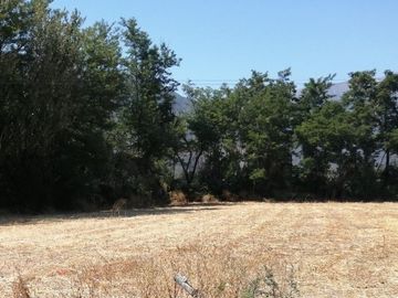 VENDE HERMOSAS PARCELAS, 5.000 M2, PLANAS, SECTOR ABRANTES, CAMINO CHACALLURA, PAINE, REGION METROPOLITANA