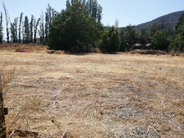 VENDE HERMOSAS PARCELAS, 5.000 M2, PLANAS, SECTOR ABRANTES, CAMINO CHACALLURA, PAINE, REGION METROPOLITANA