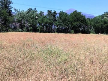 VENDE HERMOSAS PARCELAS, 5.000 M2, PLANAS, SECTOR ABRANTES, CAMINO CHACALLURA, PAINE, REGION METROPOLITANA