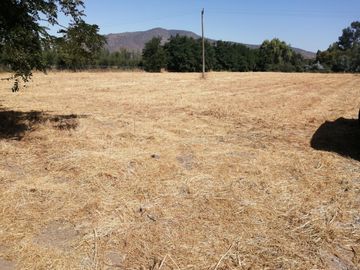 VENDE HERMOSAS PARCELAS, 5.000 M2, PLANAS, SECTOR ABRANTES, CAMINO CHACALLURA, PAINE, REGION METROPOLITANA