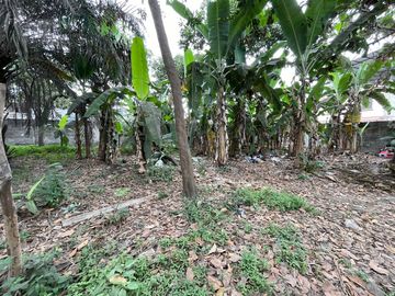 En venta terreno comercial esquinero  en Milagro frente a Ingenio Valdez