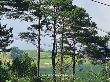 Cheap 300 sqm Residential Lot with OVERLOOKING PINEWOODS VIEW (Paramount Subdivision - Tuba)