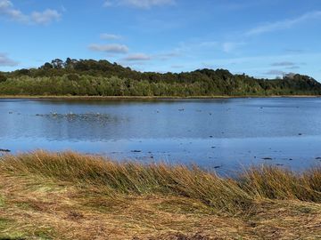 Parcelas en venta en Ancud, Chiloé - Proyecto Río Huillinco