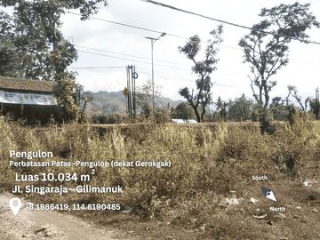 Dijual Tanah 1.000 m2 di Pinggir Jalan Singaraja-Gilimanuk Buleleng Bali