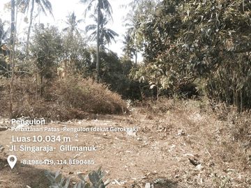 Dijual Tanah 1.000 m2 di Pinggir Jalan Singaraja-Gilimanuk Buleleng Bali