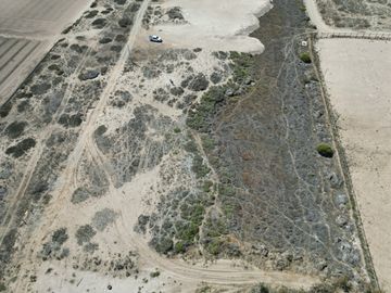 VENTA de lotes 5000 mts2 Vegas Norte parcela 117 Lotes 37 y 38