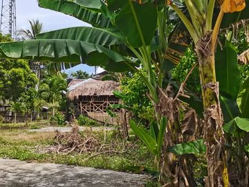 Lot for sale Bacolod