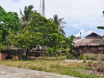 Lot for sale Bacolod