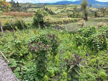 Venta de casas en Otavalo sector Imbabuela
