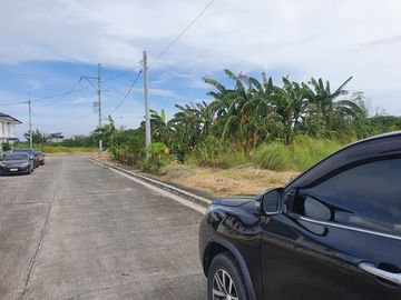 Green Meadows at the Orchard lot for sale