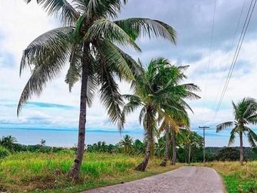 3 bedroom single attache house and lot for sale in Alberlyn Highland San Fernando Cebu.