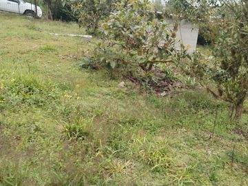 VENDO TERRENO SECTOR MINDO, AMPLIO IDEAL PARA SUS DIAS EN FAMILIA FUERA DE LA GRAN CIUDAD