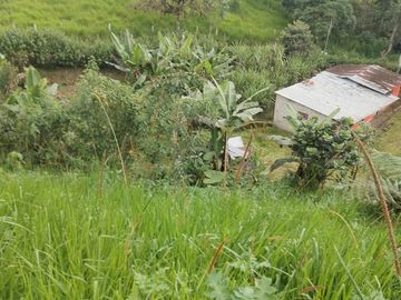 VENDO TERRENO SECTOR MINDO, AMPLIO IDEAL PARA SUS DIAS EN FAMILIA FUERA DE LA GRAN CIUDAD