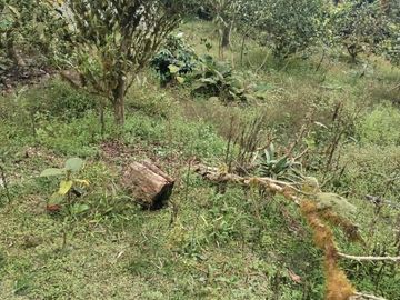 VENDO TERRENO SECTOR MINDO, AMPLIO IDEAL PARA SUS DIAS EN FAMILIA FUERA DE LA GRAN CIUDAD