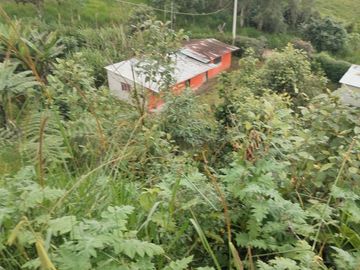 VENDO TERRENO SECTOR MINDO, AMPLIO IDEAL PARA SUS DIAS EN FAMILIA FUERA DE LA GRAN CIUDAD