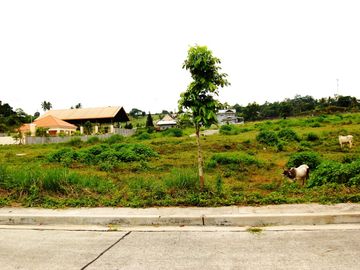 Tagaytay Lot for Sale in Ridgewood Heights Tagaytay (2022)