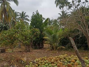 Venta de Finca Pequeña en Portoviejo Manabi