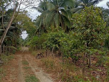 Venta de Finca Pequeña en Portoviejo Manabi