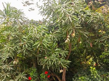 Venta de Finca Pequeña en Portoviejo Manabi