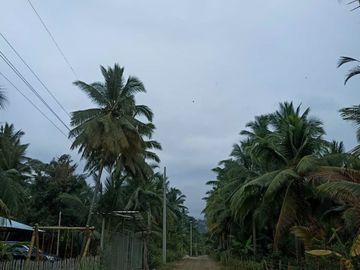 Venta de Finca Pequeña en Portoviejo Manabi