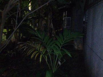 se vende casa esquinera para remodelar en la flora- norte