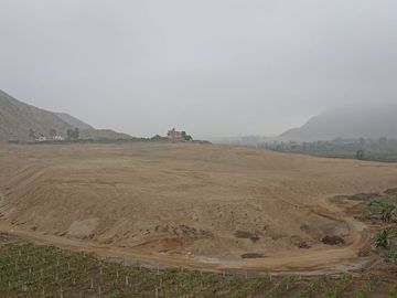 SE VENDE EXCELENTE TERRENO DE CULTIVO CON PLANTACIONES DE PALTA, PITAJAYA, MANDARINA Y MELOCOTON EN PALPA, AUCALLAMA, HUARAL