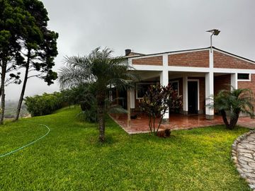 SE VENDE EXCELENTE TERRENO DE CULTIVO CON PLANTACIONES DE PALTA, PITAJAYA, MANDARINA Y MELOCOTON EN PALPA, AUCALLAMA, HUARAL
