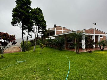 SE VENDE EXCELENTE TERRENO DE CULTIVO CON PLANTACIONES DE PALTA, PITAJAYA, MANDARINA Y MELOCOTON EN PALPA, AUCALLAMA, HUARAL
