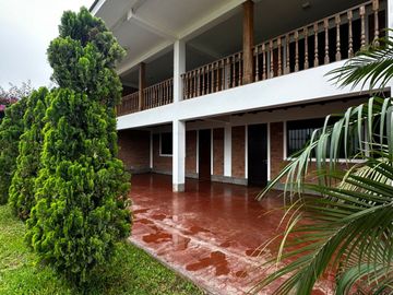 SE VENDE EXCELENTE TERRENO DE CULTIVO CON PLANTACIONES DE PALTA, PITAJAYA, MANDARINA Y MELOCOTON EN PALPA, AUCALLAMA, HUARAL