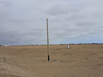 SE VENDE EXCELENTE TERRENO DE CULTIVO CON PLANTACIONES DE PALTA, PITAJAYA, MANDARINA Y MELOCOTON EN PALPA, AUCALLAMA, HUARAL