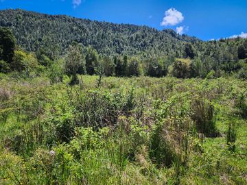 Linda Parcela de 5000m2 frente al Río Nilahue, sector Los Venados, Ranco