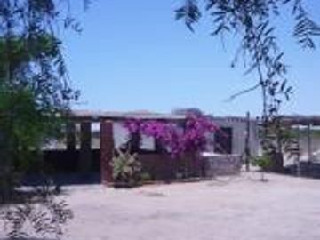 Venta o Alquiler de terreno/chacra en Chincha