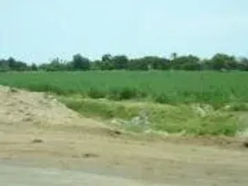 Venta o Alquiler de terreno/chacra en Chincha
