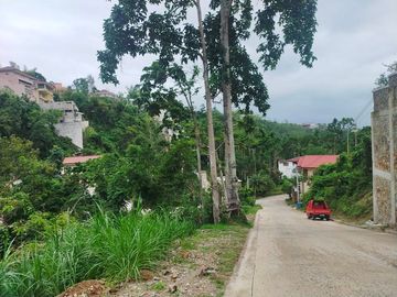 Luxury Modern-Style House Overlooking the City in Busay