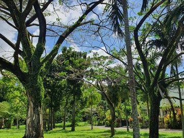 Villa Cristina Subdivision Phase 2 114sqm Lot For Sale