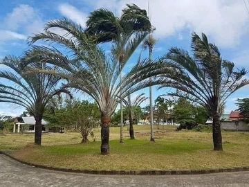 Villa Cristina Subdivision Phase 2 114sqm Lot For Sale