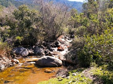 VENDE TERRENO 212 HECTAREAS, RINCONADA IDAHUE, COLTAUCO, VEGETACION, FAUNA, SENDEROS, VERTIENTES, VISTA Y SERVIDUMBRE