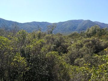 VENDE TERRENO 212 HECTAREAS, RINCONADA IDAHUE, COLTAUCO, VEGETACION, FAUNA, SENDEROS, VERTIENTES, VISTA Y SERVIDUMBRE