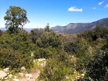 VENDE TERRENO 212 HECTAREAS, RINCONADA IDAHUE, COLTAUCO, VEGETACION, FAUNA, SENDEROS, VERTIENTES, VISTA Y SERVIDUMBRE