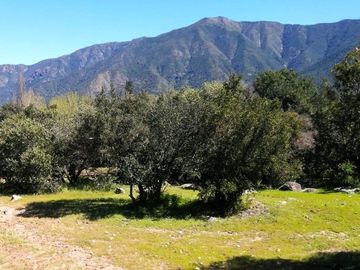 VENDE TERRENO 212 HECTAREAS, RINCONADA IDAHUE, COLTAUCO, VEGETACION, FAUNA, SENDEROS, VERTIENTES, VISTA Y SERVIDUMBRE