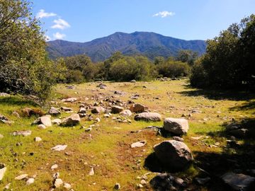 VENDE TERRENO 212 HECTAREAS, RINCONADA IDAHUE, COLTAUCO, VEGETACION, FAUNA, SENDEROS, VERTIENTES, VISTA Y SERVIDUMBRE