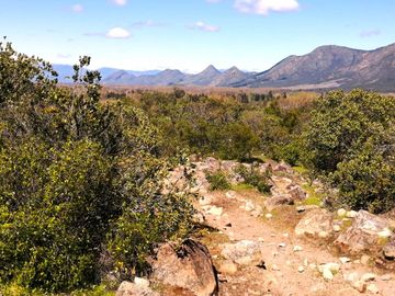 VENDE TERRENO 212 HECTAREAS, RINCONADA IDAHUE, COLTAUCO, VEGETACION, FAUNA, SENDEROS, VERTIENTES, VISTA Y SERVIDUMBRE