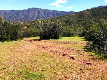VENDE TERRENO 212 HECTAREAS, RINCONADA IDAHUE, COLTAUCO, VEGETACION, FAUNA, SENDEROS, VERTIENTES, VISTA Y SERVIDUMBRE