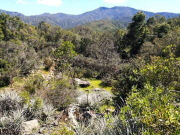 VENDE TERRENO 212 HECTAREAS, RINCONADA IDAHUE, COLTAUCO, VEGETACION, FAUNA, SENDEROS, VERTIENTES, VISTA Y SERVIDUMBRE