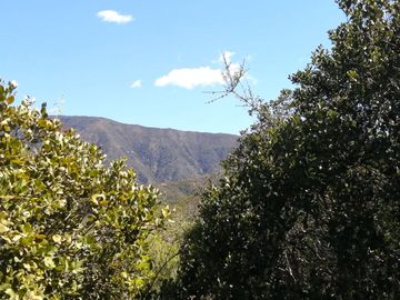 VENDE TERRENO 212 HECTAREAS, RINCONADA IDAHUE, COLTAUCO, VEGETACION, FAUNA, SENDEROS, VERTIENTES, VISTA Y SERVIDUMBRE