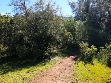 VENDE TERRENO 212 HECTAREAS, RINCONADA IDAHUE, COLTAUCO, VEGETACION, FAUNA, SENDEROS, VERTIENTES, VISTA Y SERVIDUMBRE