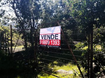VENDE TERRENO 212 HECTAREAS, RINCONADA IDAHUE, COLTAUCO, VEGETACION, FAUNA, SENDEROS, VERTIENTES, VISTA Y SERVIDUMBRE