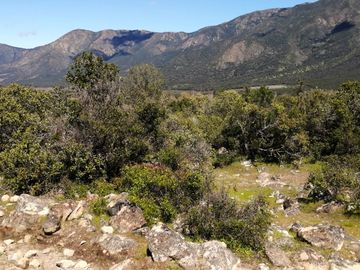 VENDE TERRENO 212 HECTAREAS, RINCONADA IDAHUE, COLTAUCO, VEGETACION, FAUNA, SENDEROS, VERTIENTES, VISTA Y SERVIDUMBRE